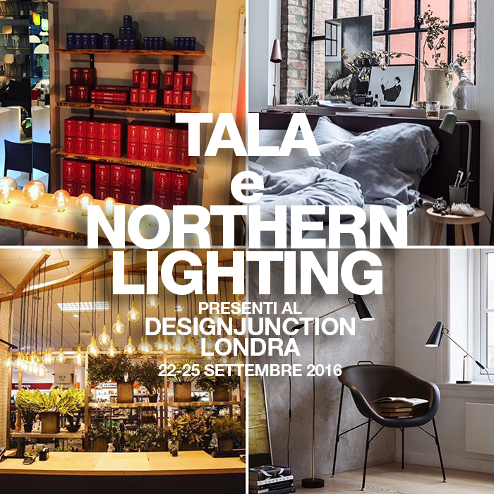 northern lighting e tala al designjunction